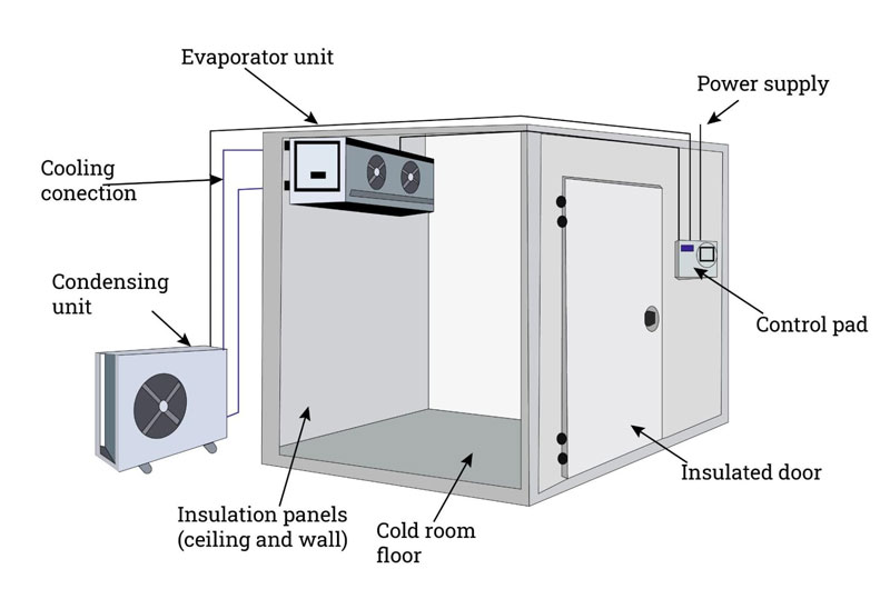 Cold Room Design