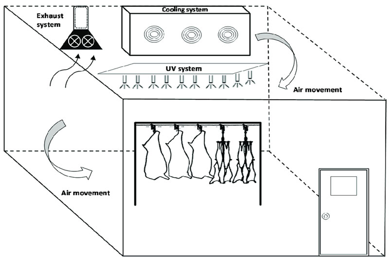 Cold Room Layout