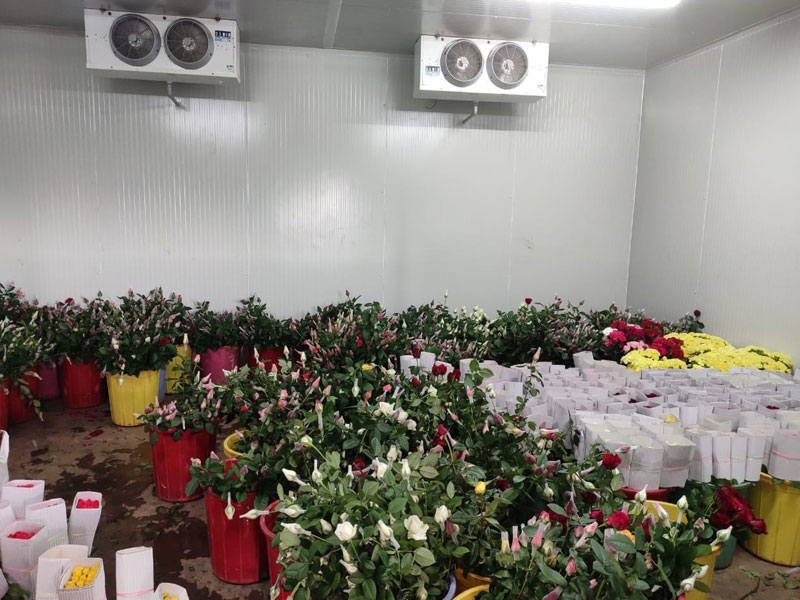 Cámara frigorífica modular para flores