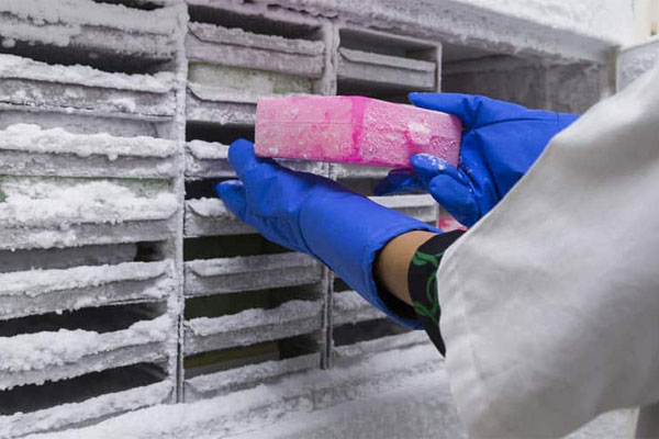 Pharmaceutical Freezer Room