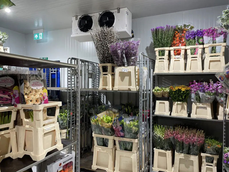 Cámara frigorífica para flores con acceso directo