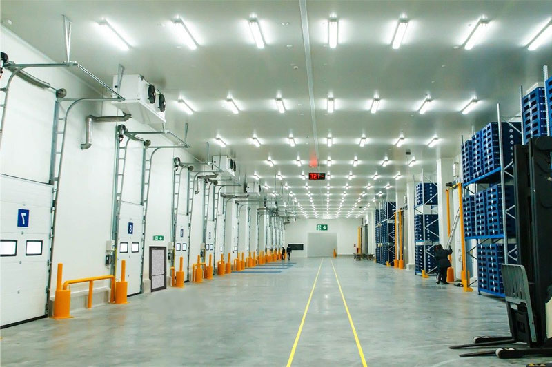 Cold Room Lighting System