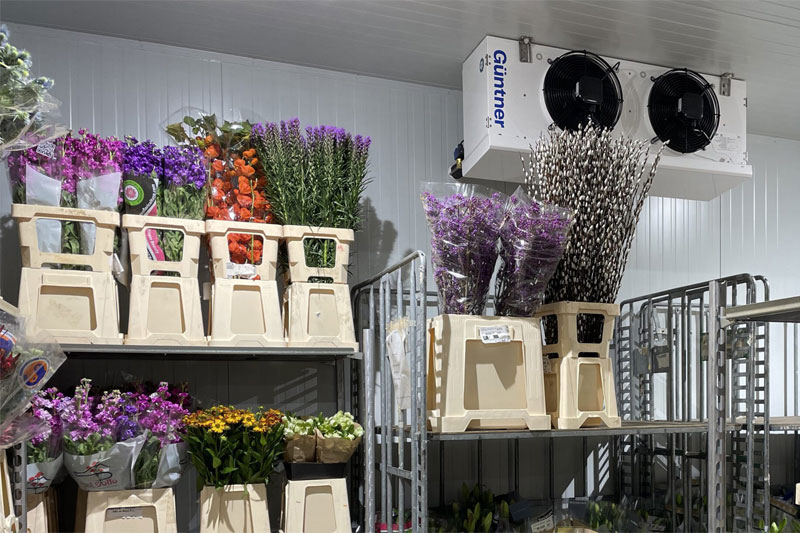 Cold Rooms in Floral Industry