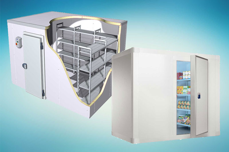 Walk-in vs. Modular Cold Rooms