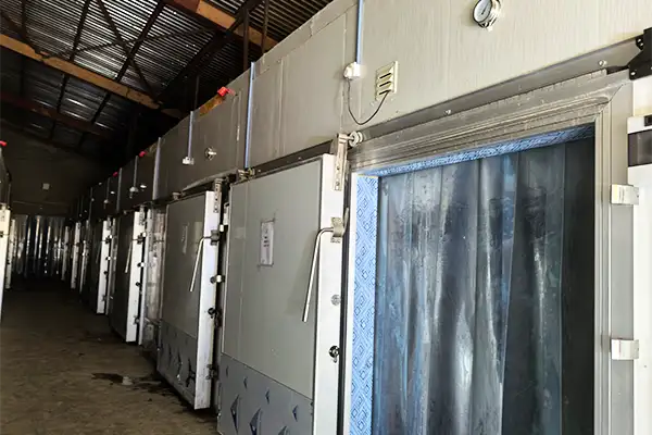 Chicken Slaughter Case 2