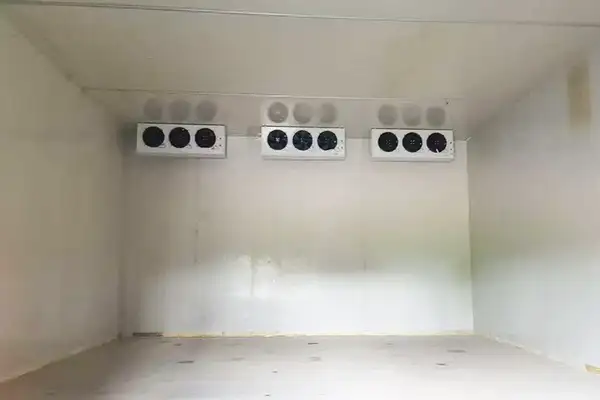Chicken Slaughter Case 5