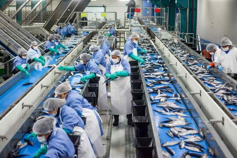 End-to-End Fishing Processing Solutions for Sustainable Operations