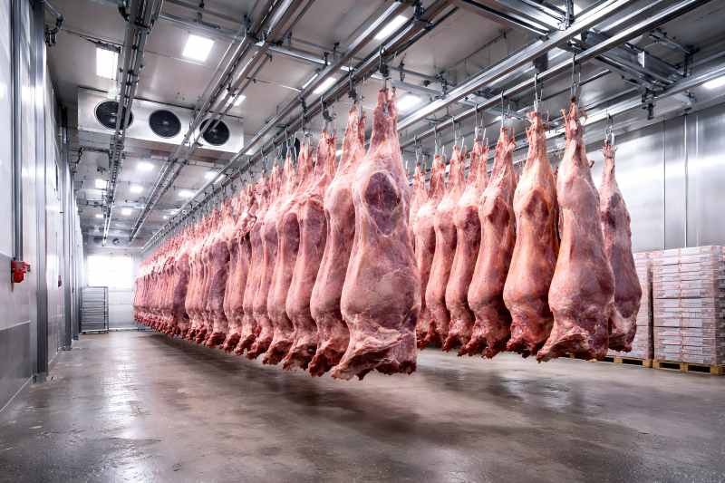 The Role of the Cold Room in the Slaughterhouse