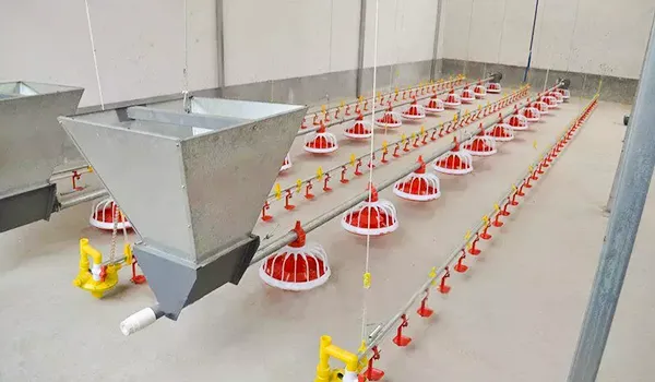 Automatic Feeding System