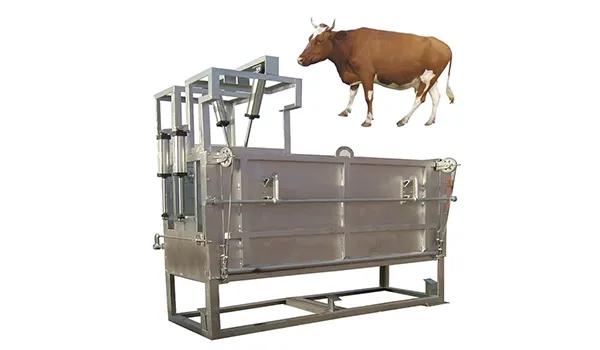 Automatic Stunning System