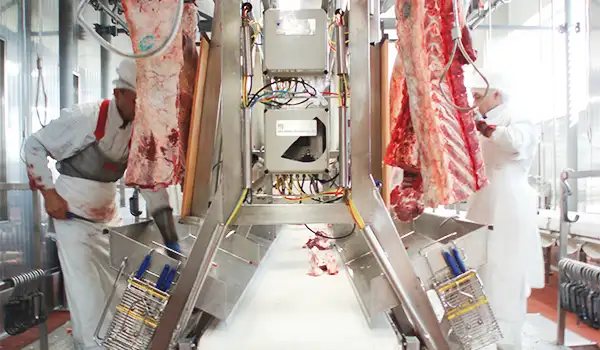 Meat Cutting Machines