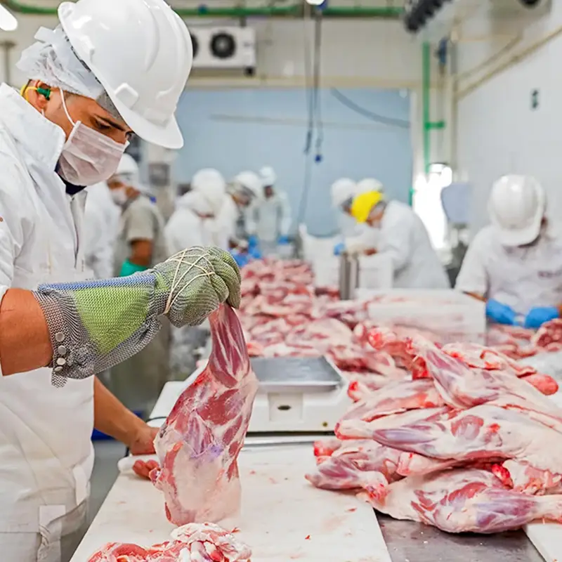 Processing and Packaging Equipment