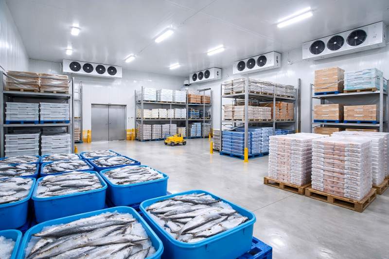 How to Choose the Right Cold Room Capacity for a Seafood Plant