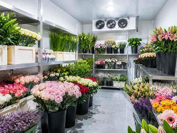 Fresh Flowers of Chiller Rooms
