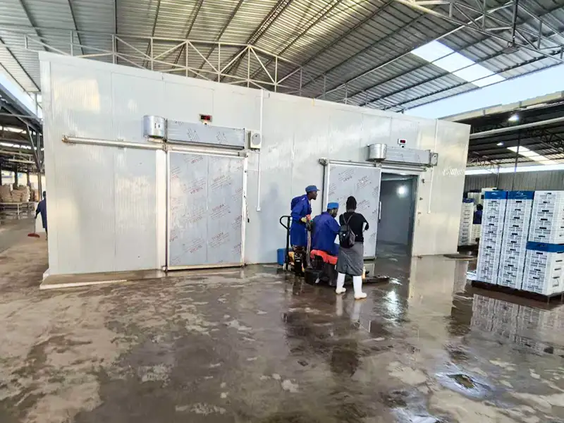 Meat Freezer Room