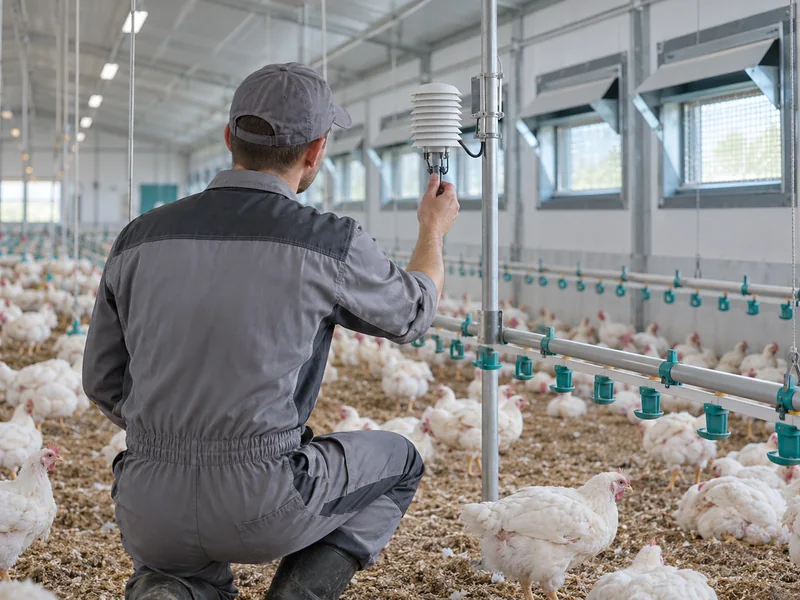 Poultry House Climate Sensor Inspection Poultry House Climate Sensor Inspection